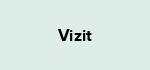 Vizit