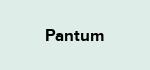 Pantum