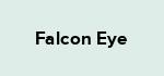 Falcon Eye