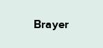 Brayer