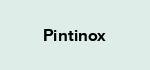 Pintinox