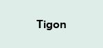 Tigon