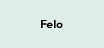 Felo