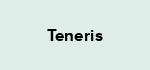 Teneris