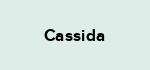 Cassida