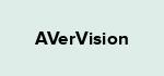 AVerVision