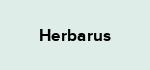 Herbarus