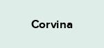 Corvina