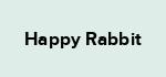 Happy Rabbit