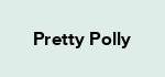 Pretty Polly