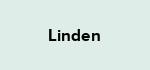 Linden