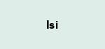 Isi