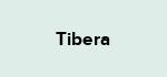 Tibera