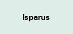 Isparus