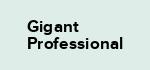 Gigant Professional